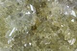 Plate Of Gemmy, Chisel Tipped Barite Crystals - Mexico #84411-2